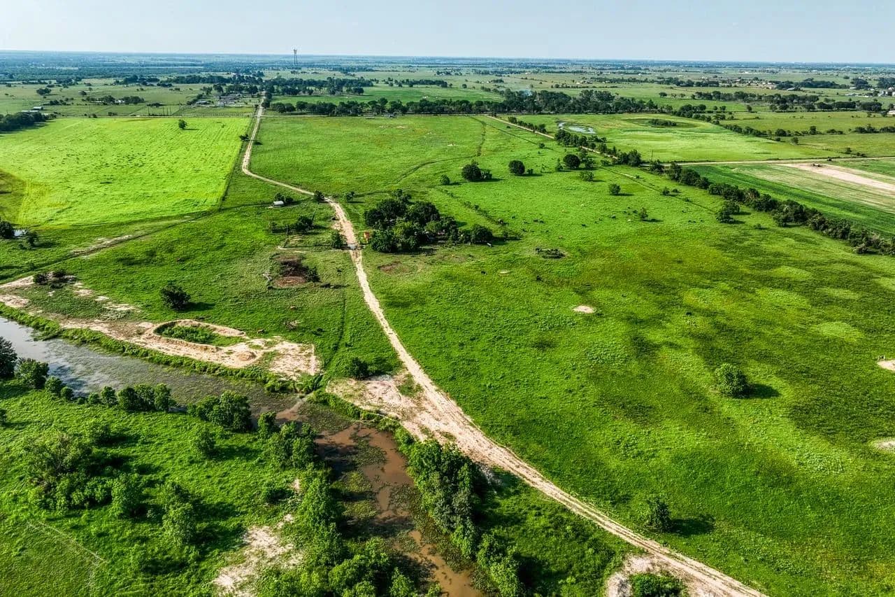 Schmidt Road Ranch in Waller, Texas - photo 3