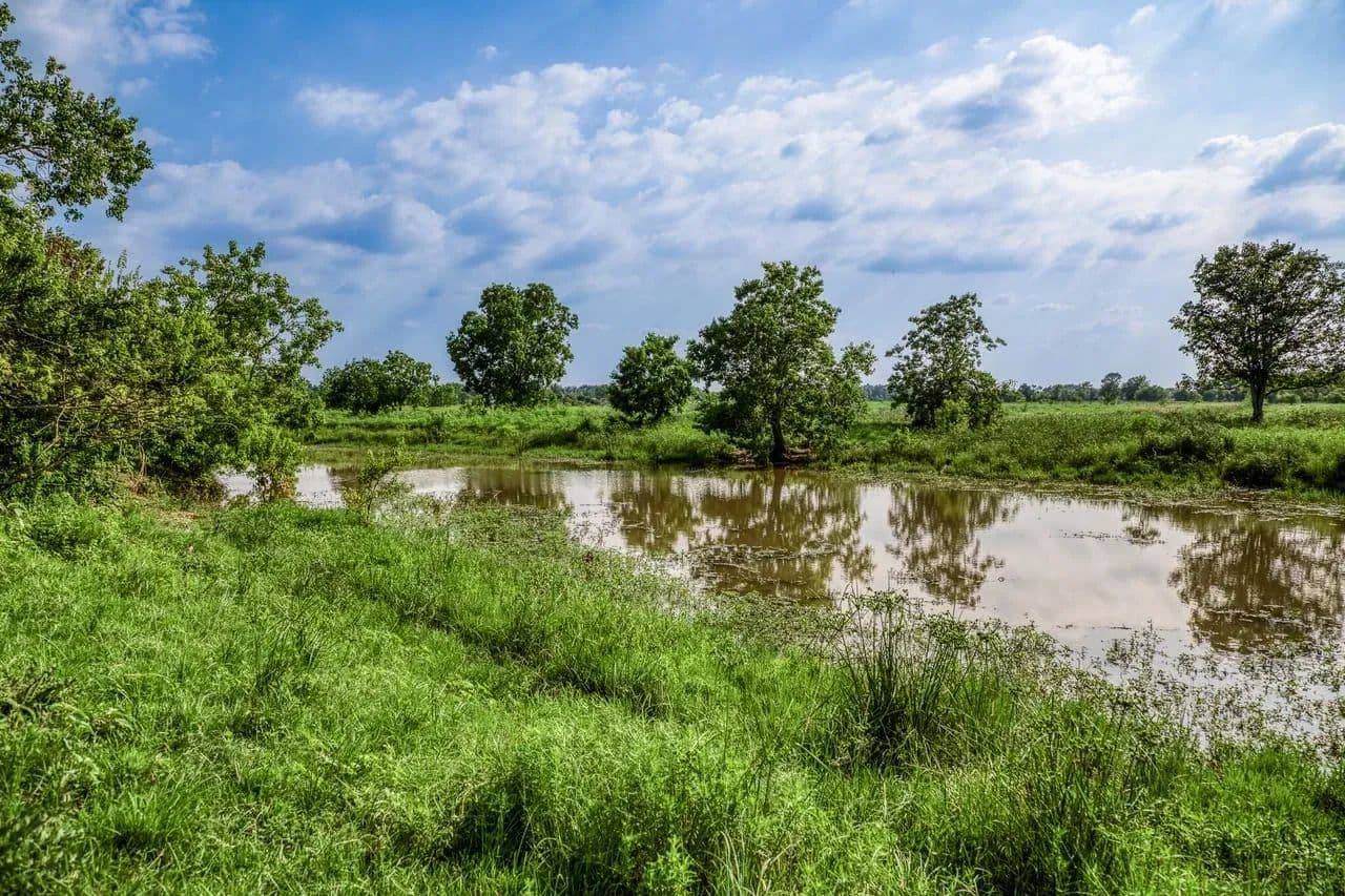 Schmidt Road Ranch in Waller, Texas - photo 11