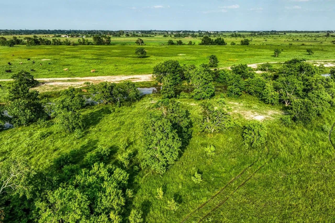 Schmidt Road Ranch in Waller, Texas - photo 12