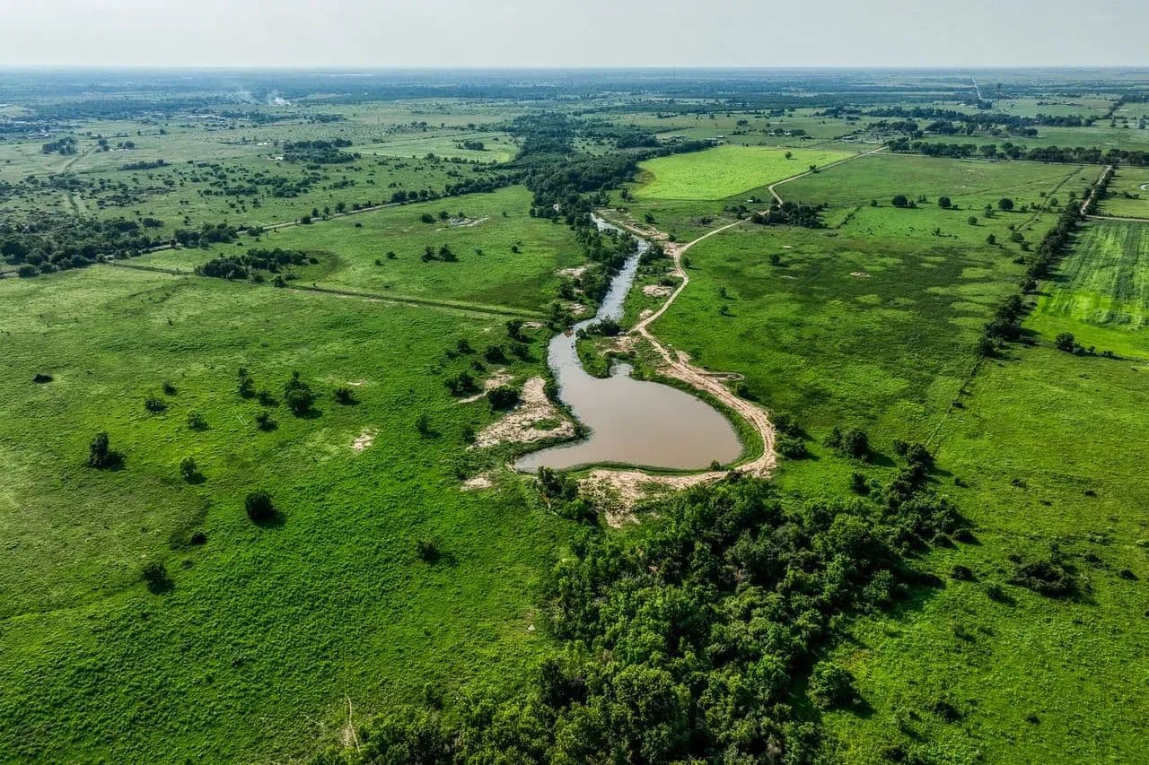Schmidt Road Ranch in Waller, Texas - photo 4