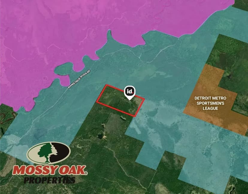 80 +/- Acres | Germfask, MI | Schoolcraft County | Upper Peninsula I Land for Sale