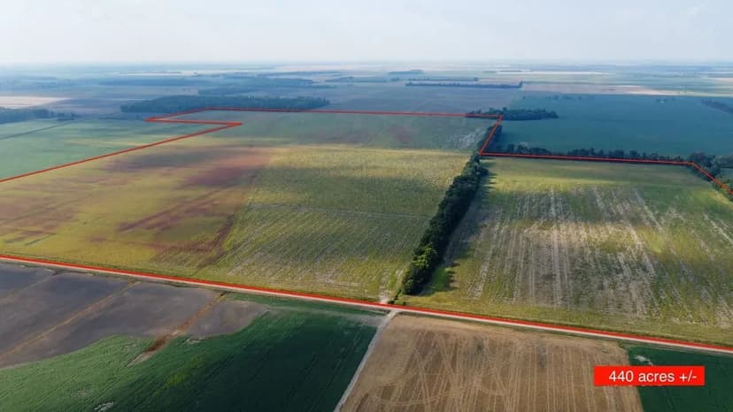 440 acres of Agricultural Row Crop Land for sale in Mississippi County, Missouri