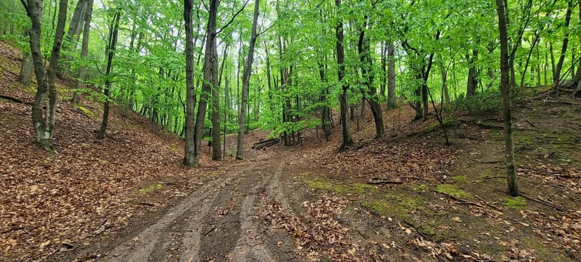 Lots & Land-Other in Pentwater