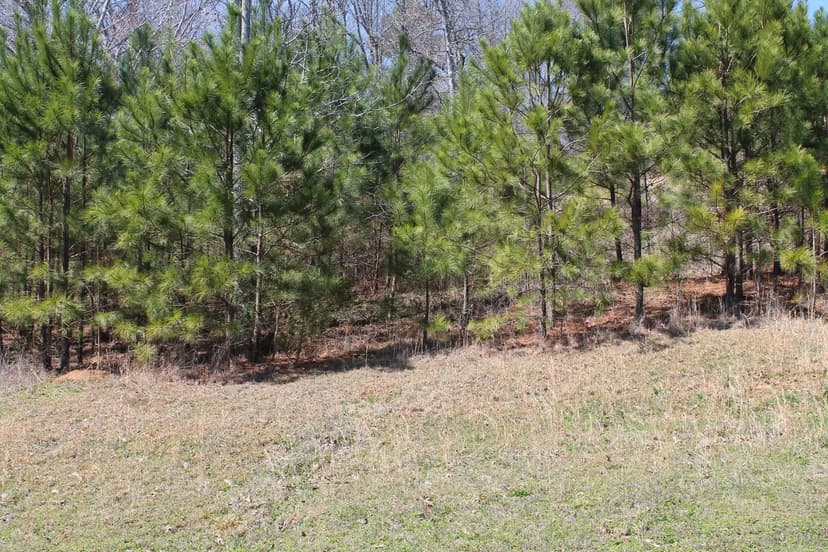 Vacant Land in Cullman
