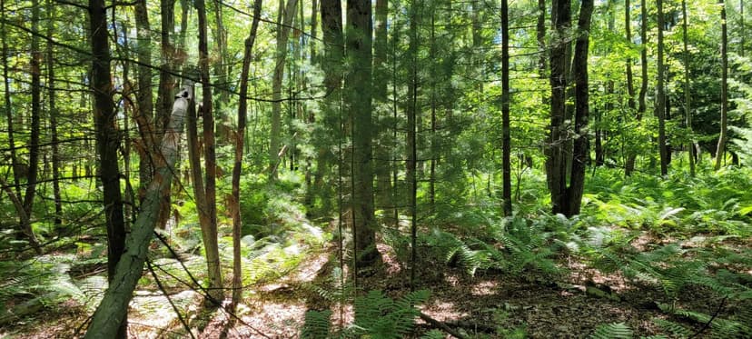 Lots & Land-Other in Pentwater