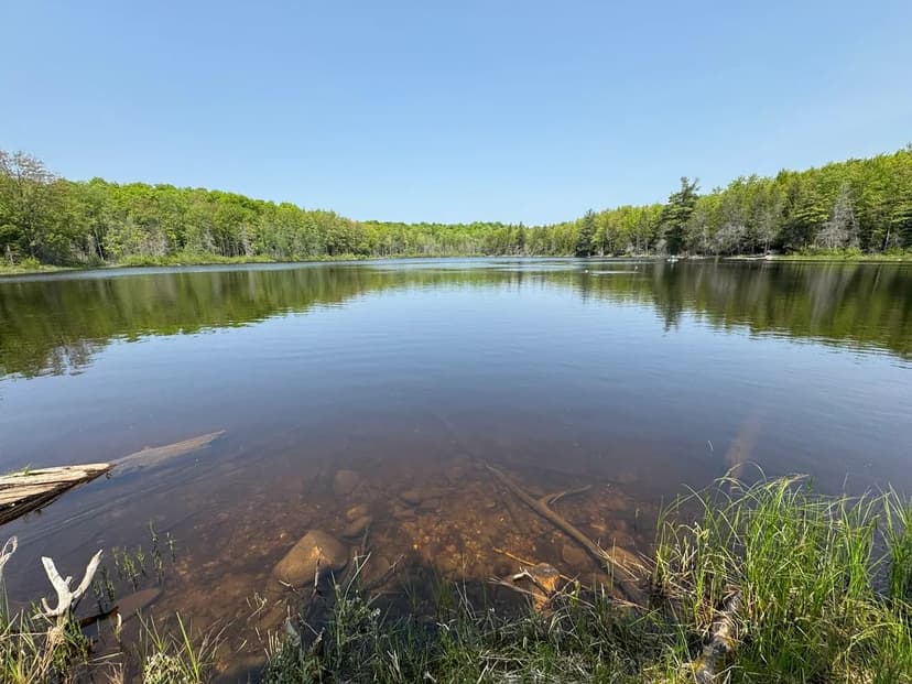 Land -Single Family Acreage in Oma