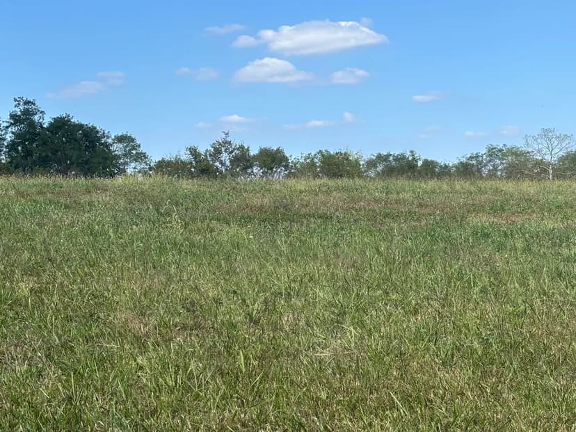 Vacant Land in Sparta