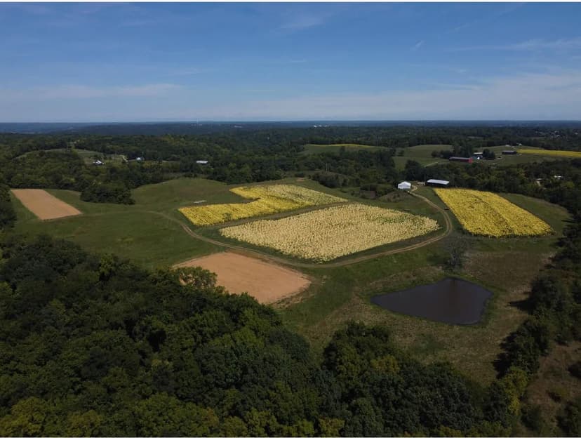 Vacant Land in Warsaw