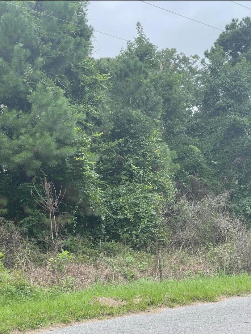 Lots & Land-Other in Summerville