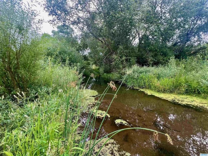 Lake Roberts 6.26 Acre Sapillo Creek Opportunity