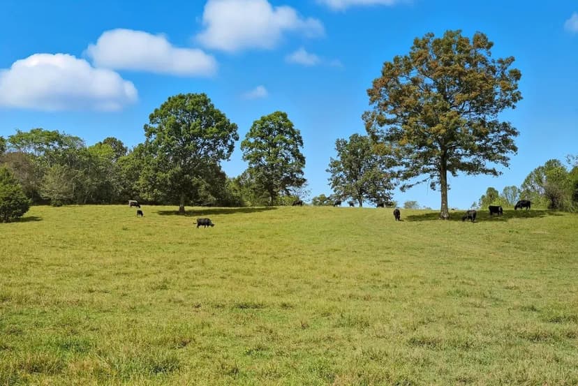 170 ± Acres — Diverse Farm & Development Tract in Sparta, TN