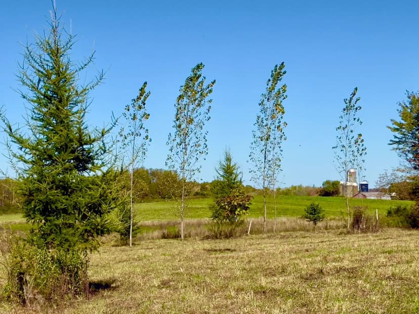 19 acre Secluded Country Building Lot Eaton NY