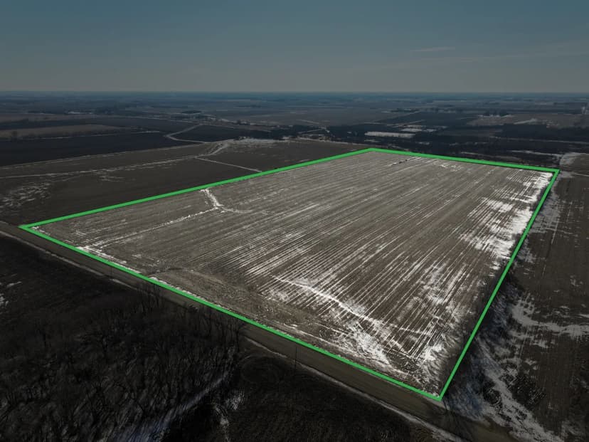 Dorothy Bleckeberg Farm Auction