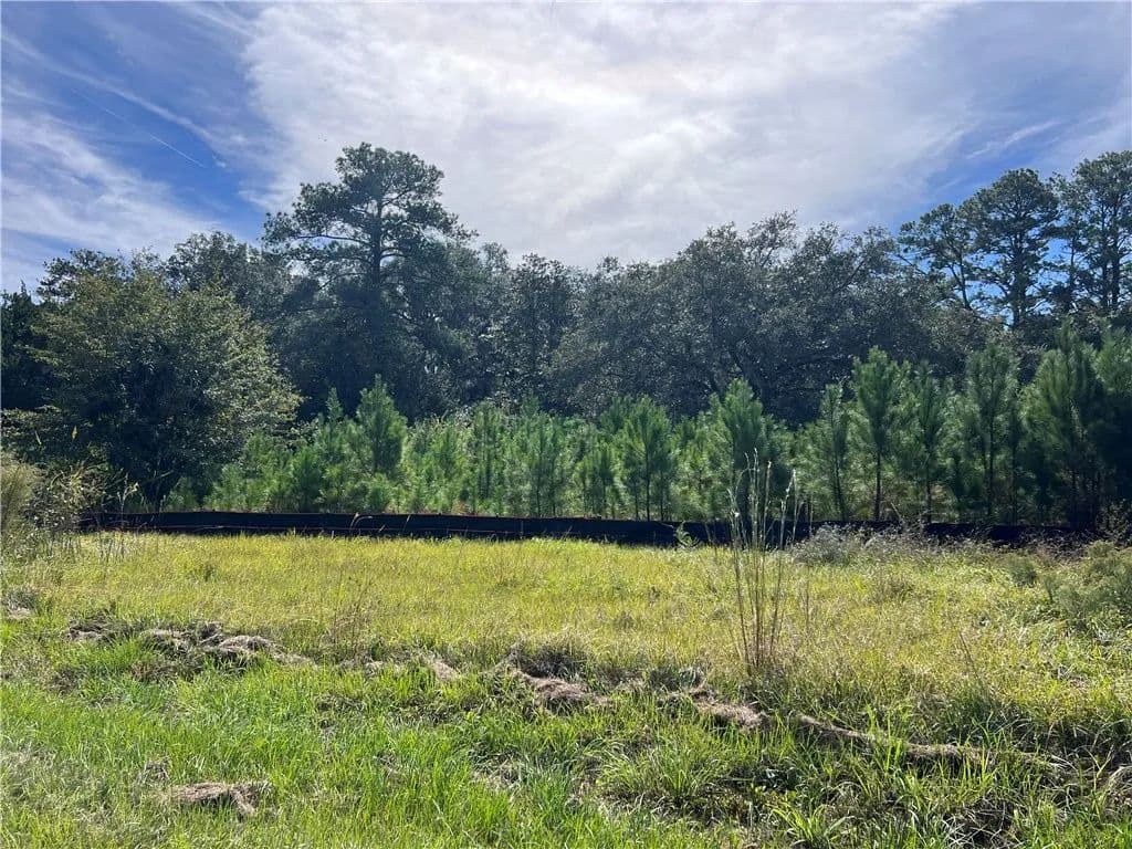 Vacant Land in Brunswick - Brunswick, Georgia, 31522