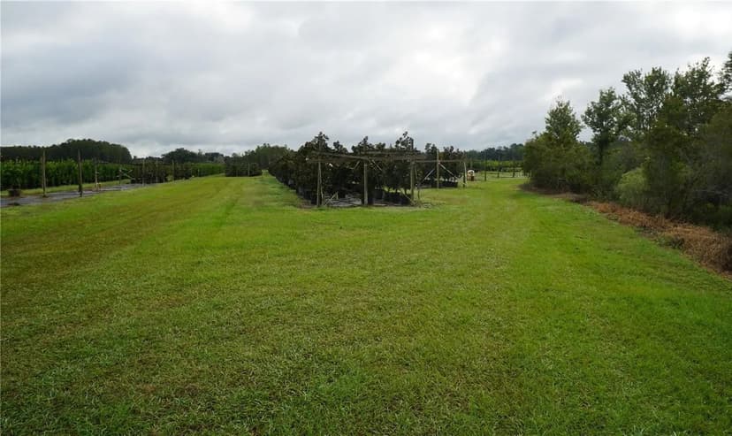 Vacant Land (10+ Acres) in Groveland