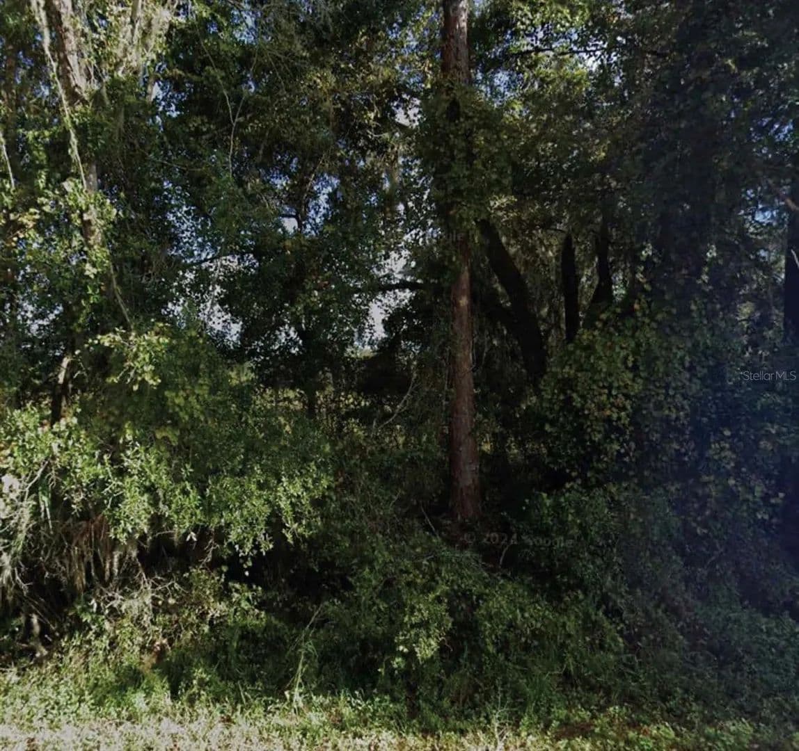 Property from NE 234TH PLACE ROAD - KW - Fort Mc Coy, Florida, 32134