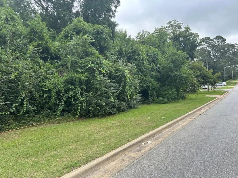 Lots & Land-Other in Sylvester