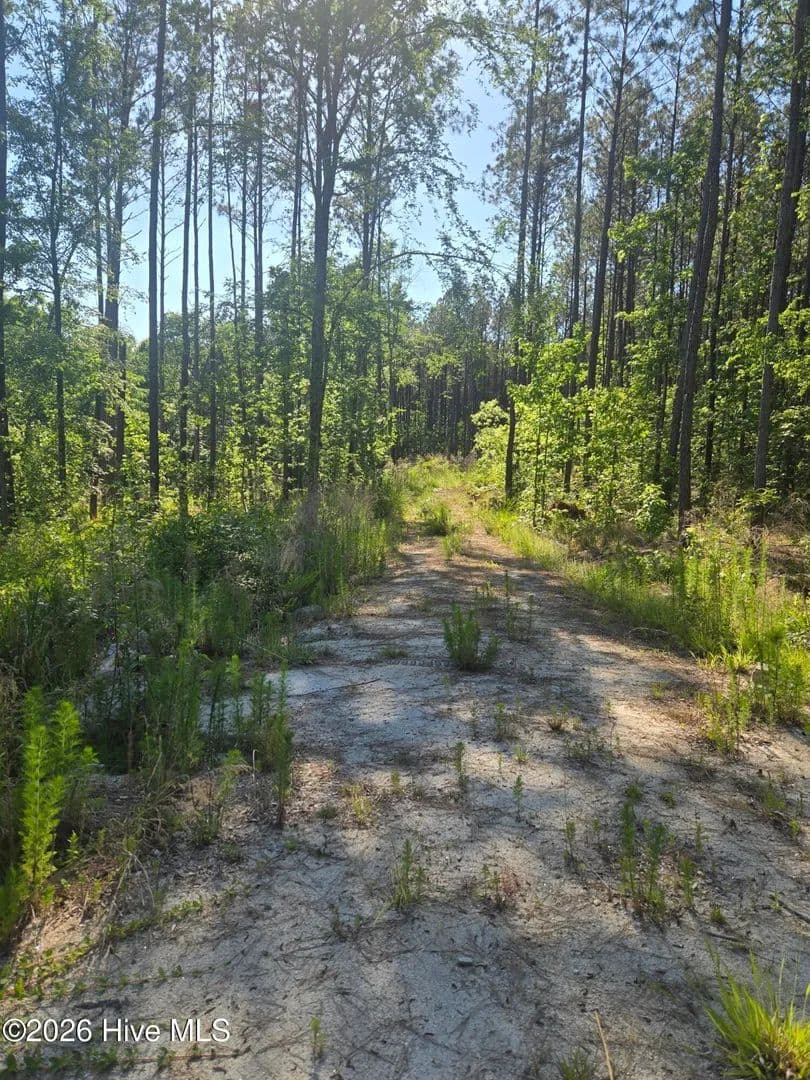 6.67 Acres of Land for Sale in Lincolnton, Georgia - Lincolnton, Georgia, 30817