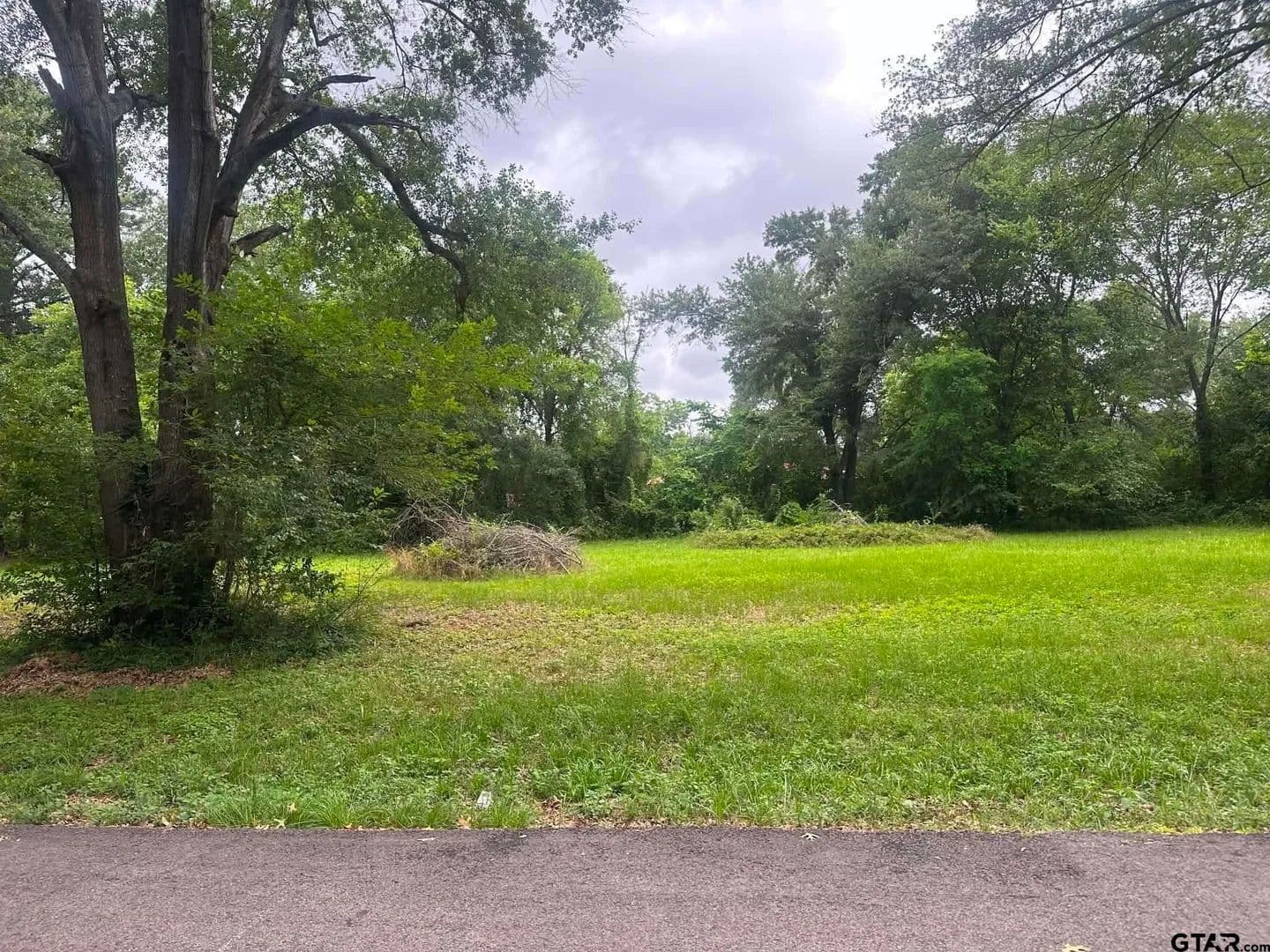 Vacant Land in Palestine - Palestine, Texas, 75802