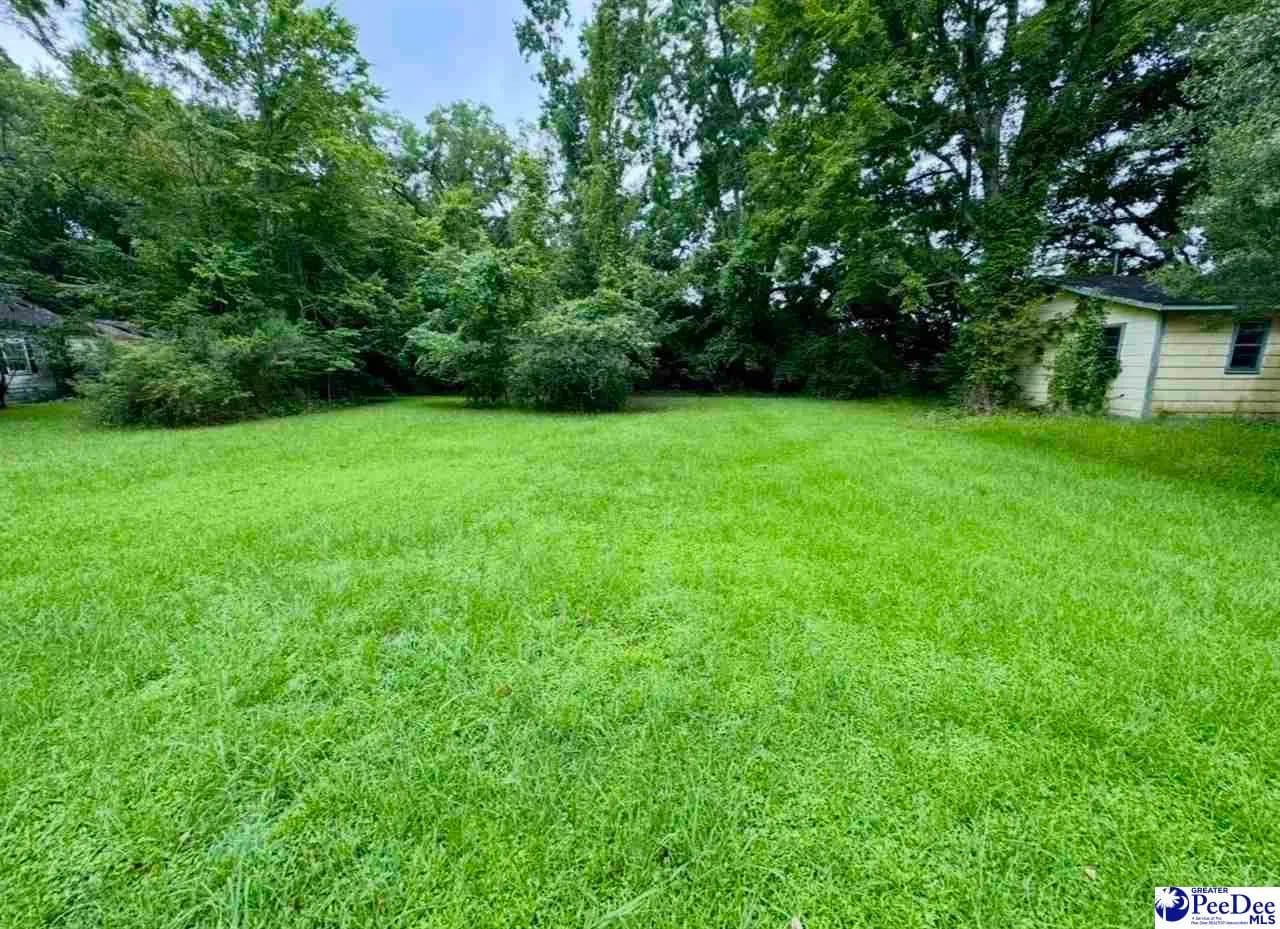 0.15 Acres of Land for Sale in Sellers, South Carolina - Sellers, South Carolina, 29592