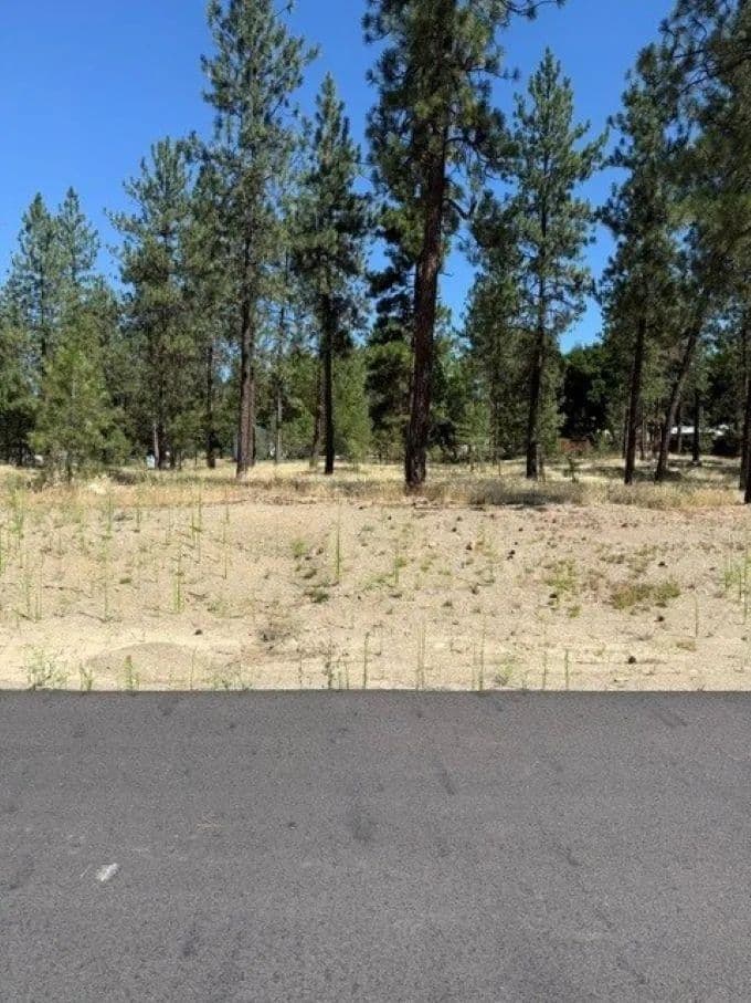 Vacant Land in Nine Mile Falls - Nine Mile Falls, Washington, 99026