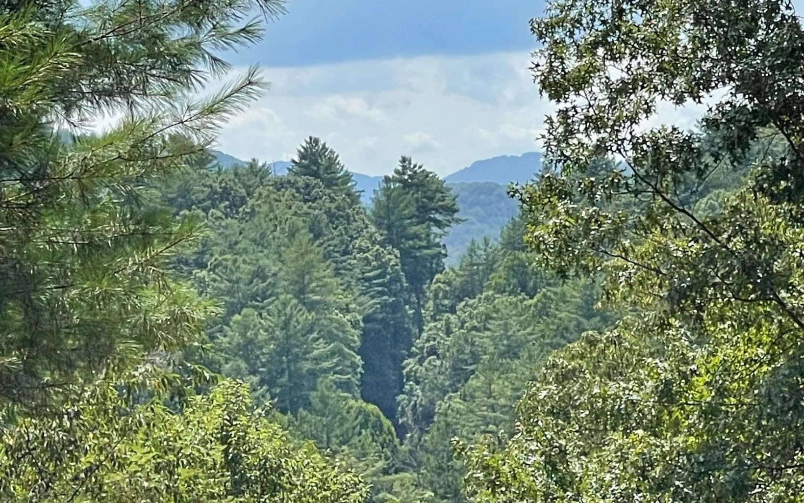 Lots & Land-Other in Hayesville - Hayesville, North Carolina, 28904