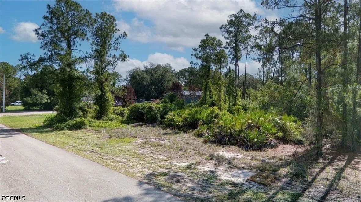 Vacant Land in Lehigh Acres - Lehigh Acres, Florida, 33972