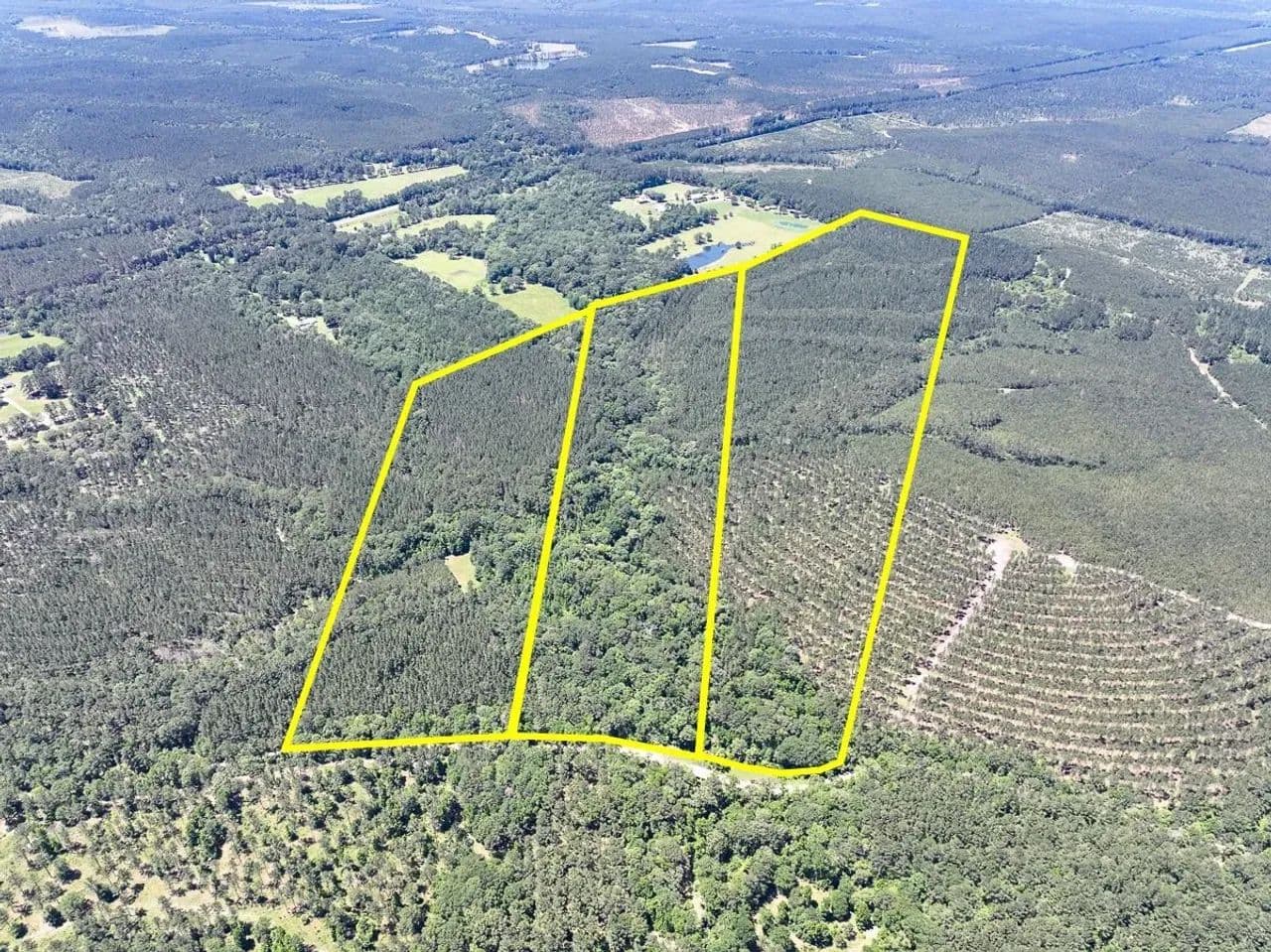68 Acres | Paces Creek | T3074-11 - Corrigan, Texas, 75939