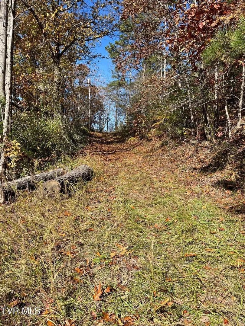 Lots & Land-Other in Haysi - Haysi, Virginia, 24256