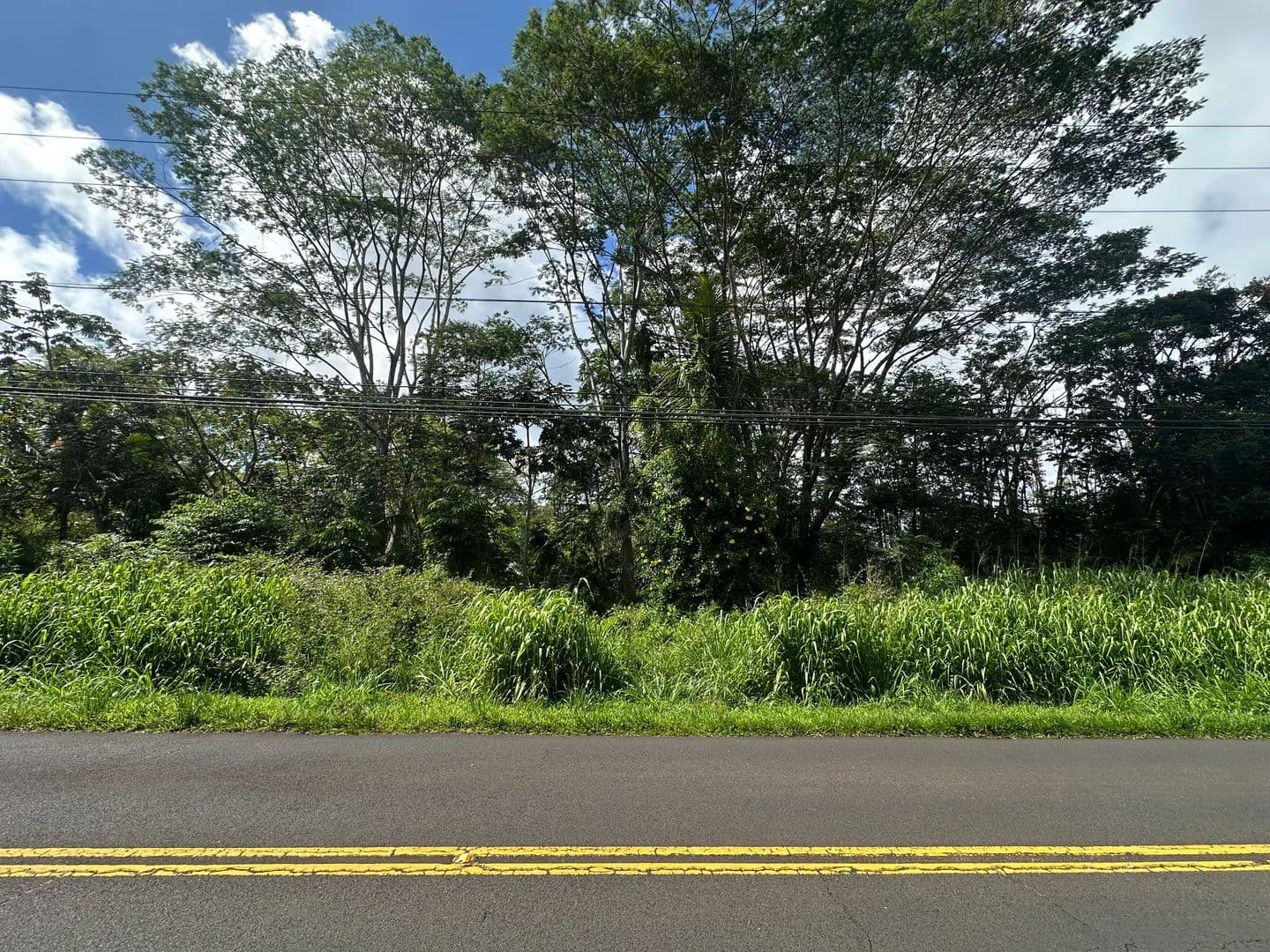 Vacant Land in Pahoa - Pahoa, Hawaii, 96778