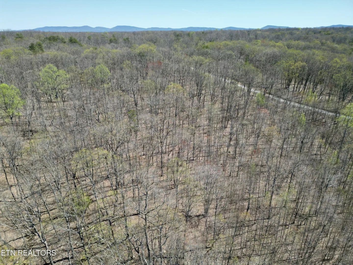 Lots & Land-Other in Pikeville - Pikeville, Tennessee, 37367