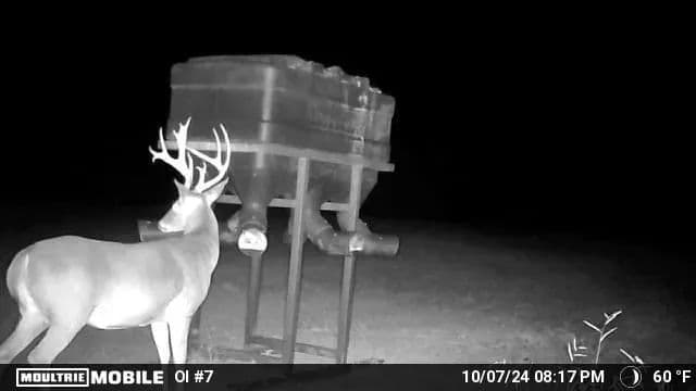 Sugar Creek Trophy Farm in Centre, Alabama - photo 37