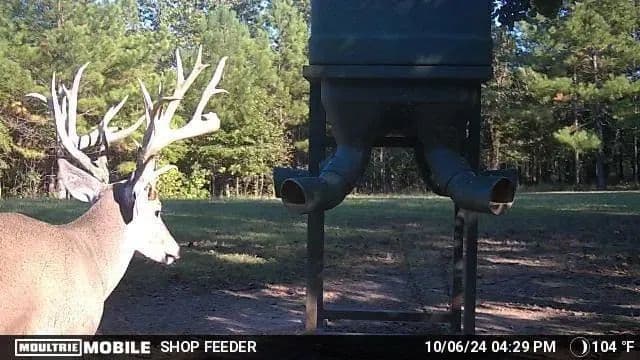 Sugar Creek Trophy Farm in Centre, Alabama - photo 27