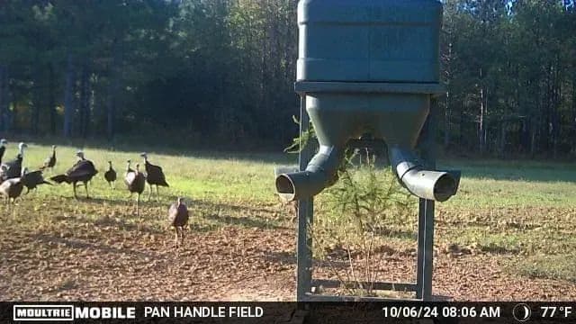 Sugar Creek Trophy Farm in Centre, Alabama - photo 39
