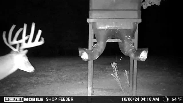 Sugar Creek Trophy Farm in Centre, Alabama - photo 33