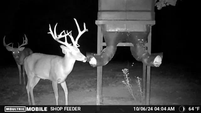 Sugar Creek Trophy Farm in Centre, Alabama - photo 36