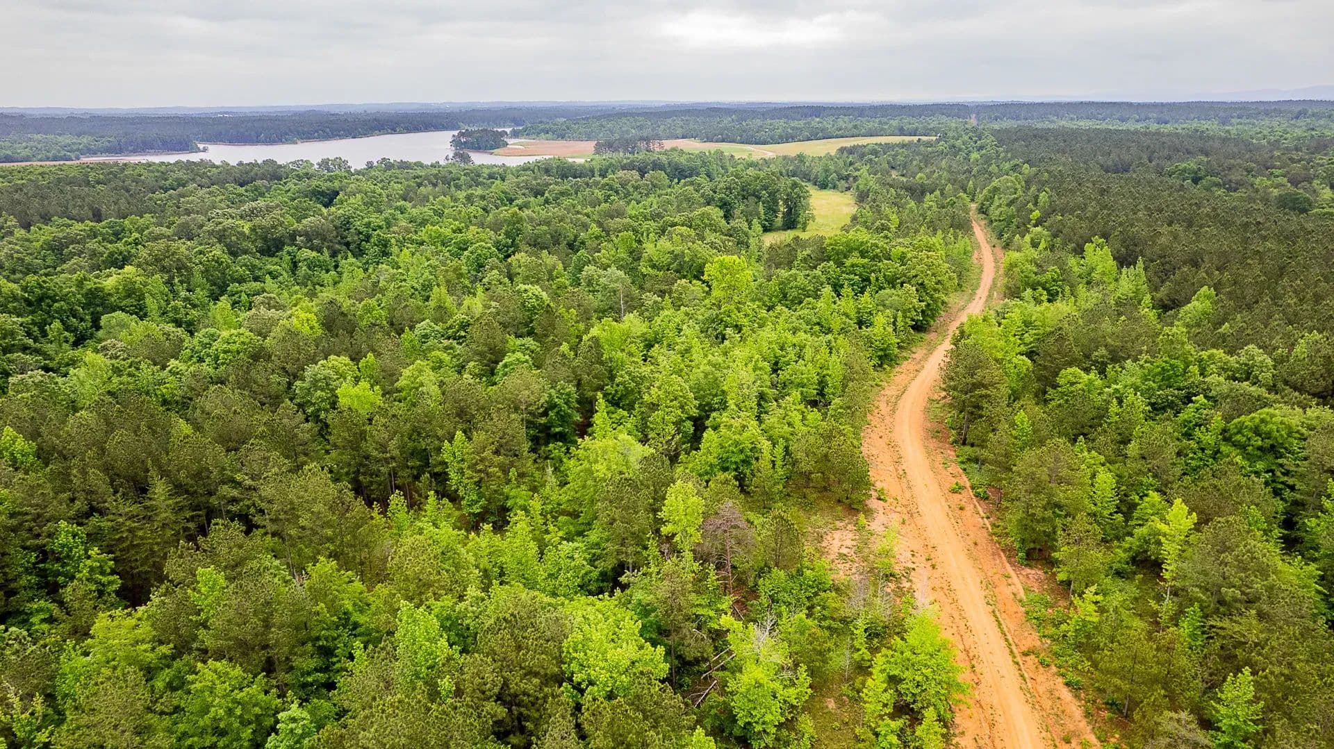 Sugar Creek Trophy Farm in Centre, Alabama - photo 13