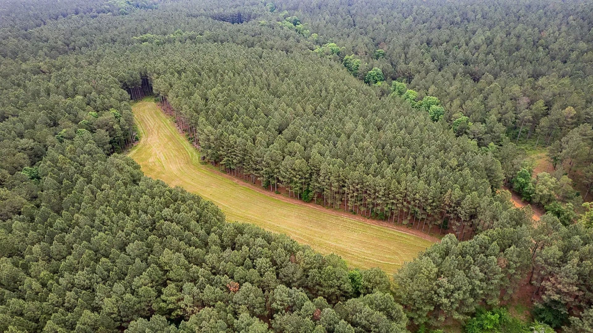 Sugar Creek Trophy Farm in Centre, Alabama - photo 16