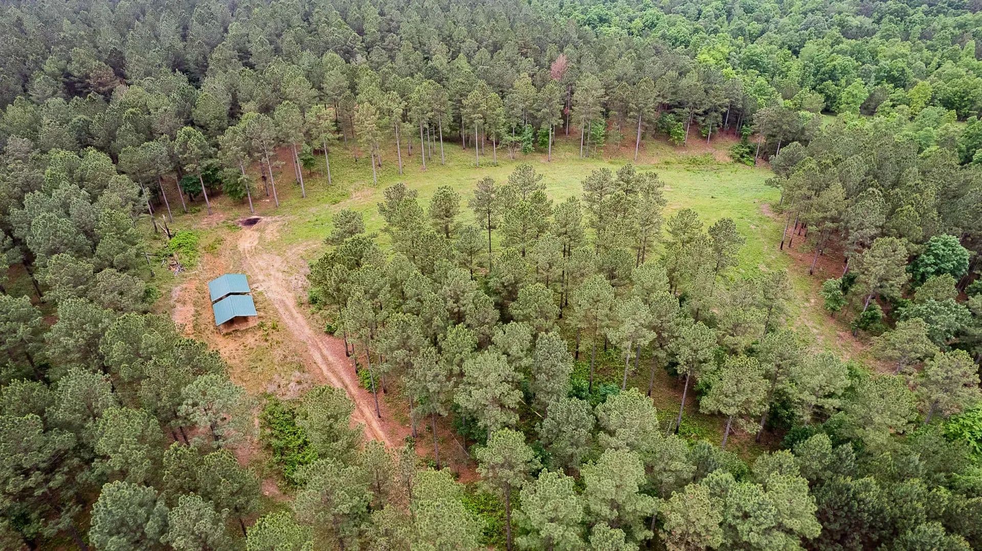 Sugar Creek Trophy Farm in Centre, Alabama - photo 17