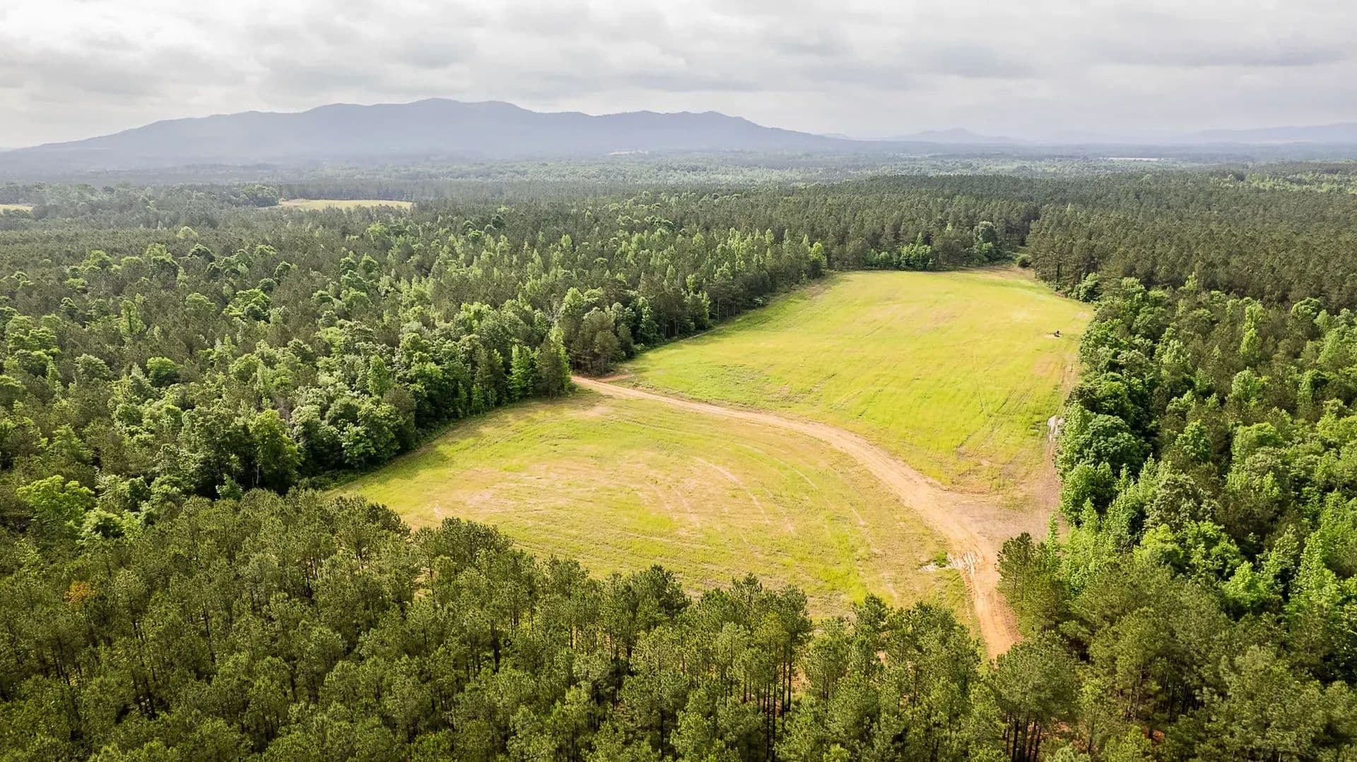 Sugar Creek Trophy Farm in Centre, Alabama - photo 18