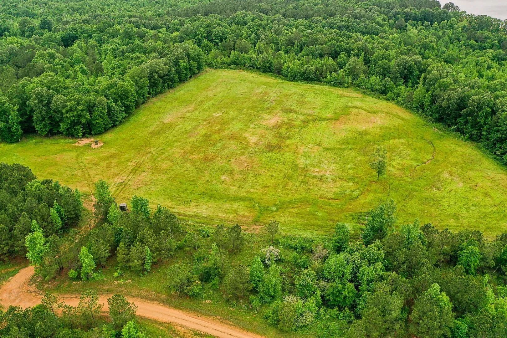 Sugar Creek Trophy Farm in Centre, Alabama - photo 19