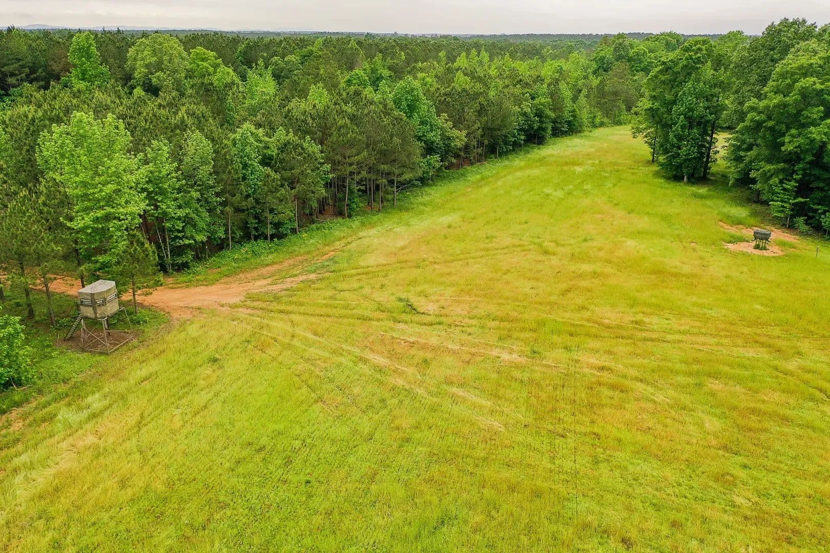 Sugar Creek Trophy Farm in Centre, Alabama - photo 21