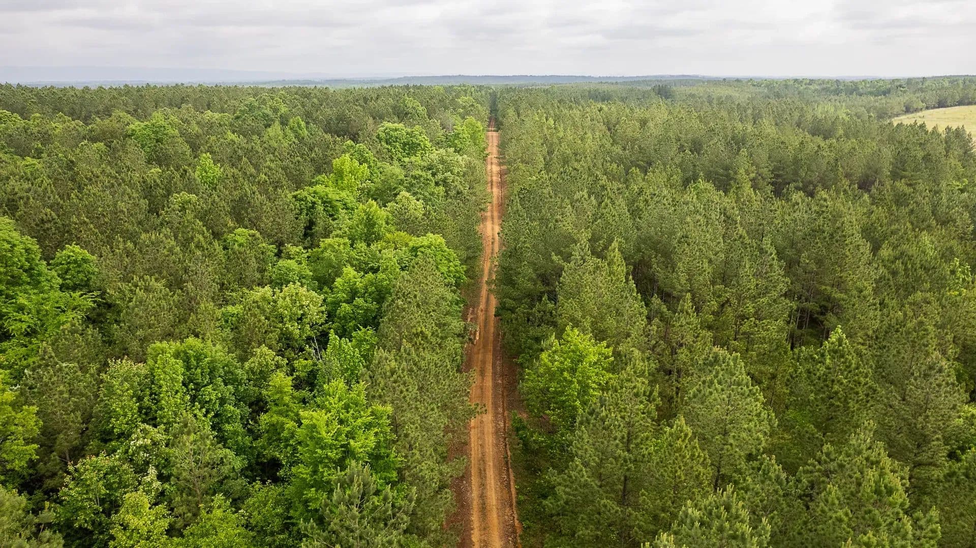 Sugar Creek Trophy Farm in Centre, Alabama - photo 22