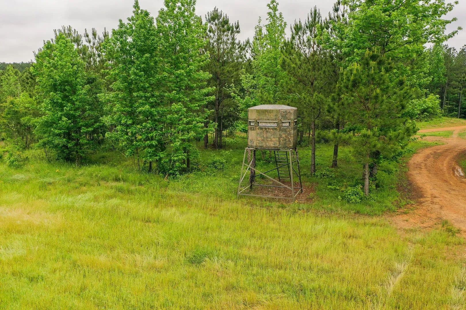 Sugar Creek Trophy Farm in Centre, Alabama - photo 23