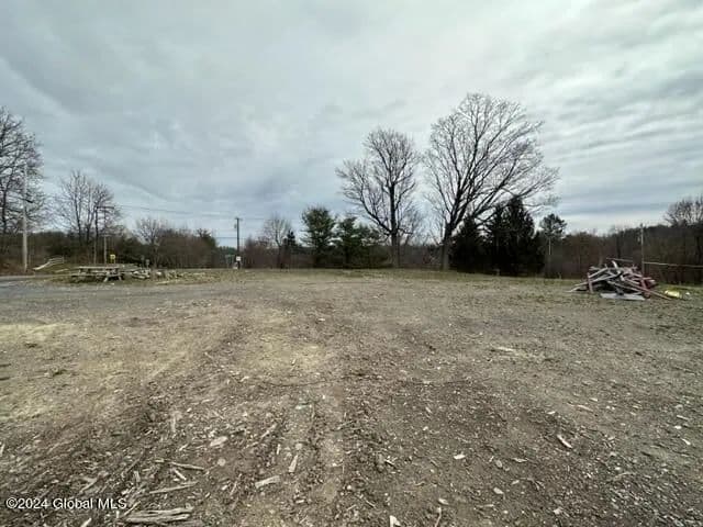Land -Single Family Acreage in Voorheesville