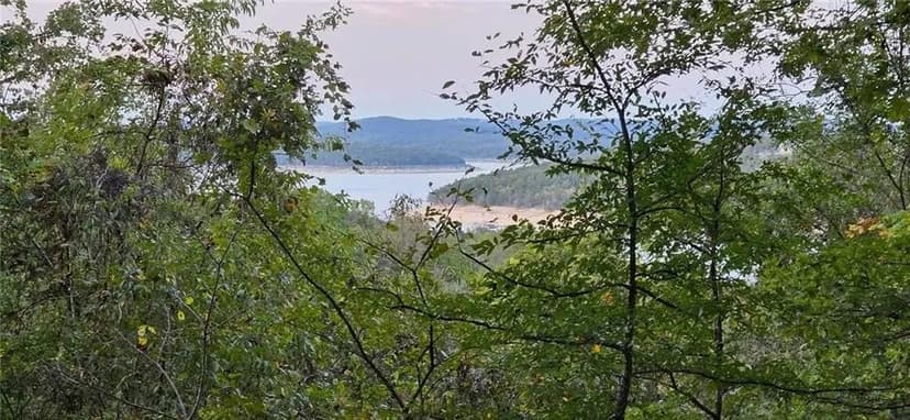 Lots & Land-Other in Yellville