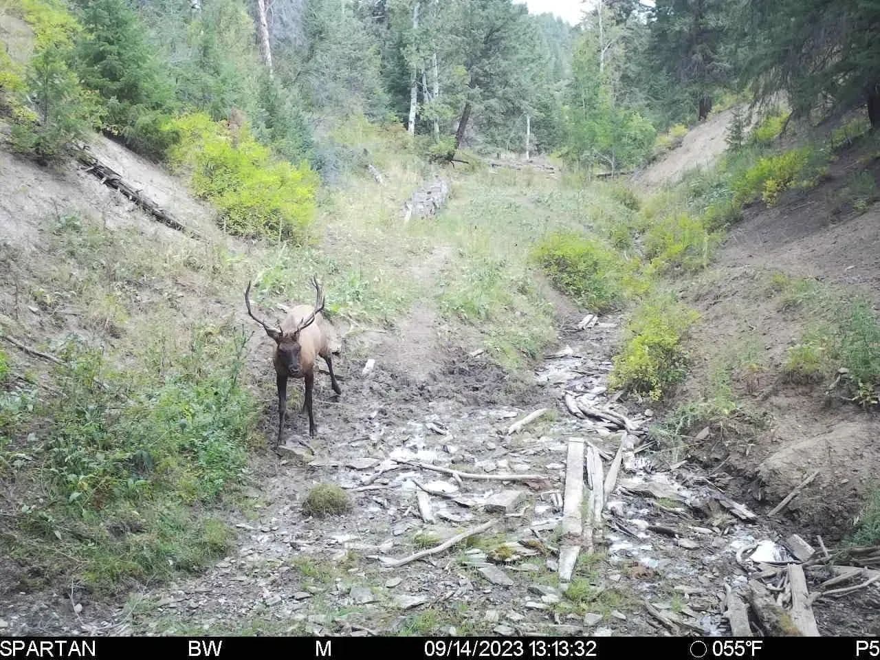 Timber Valley Ranch - Rifle, Colorado, 81650