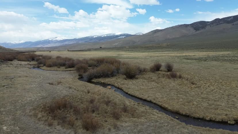 2.64+/-AC HWY 280 in Talladega Cty