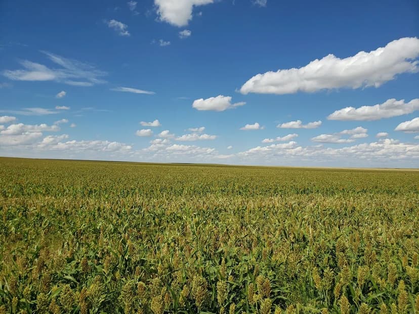 First Creek Mini-Farm/Homesite