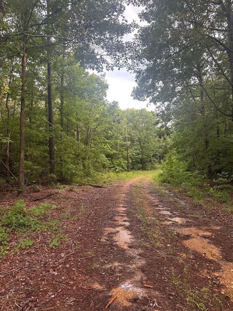 45+/- Acre Friendship Tract Pickens County, AL